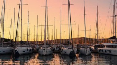 Rogoznica, Hırvatistan - 10 Temmuz 2024: Hırvatistan 'ın Frapa Rogoznica kentinde gün batımında yat, katamaran ve yelkenli gemiler. Yüksek kalite 4k görüntü