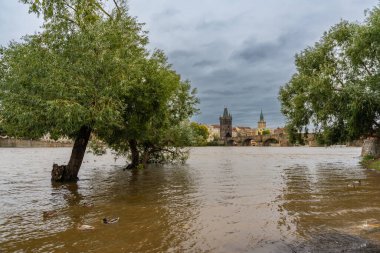 Prag 'da sel. Prag, Vltava nehri üzerindeki Charles Köprüsü manzarası. Yüksek kalite fotoğraf