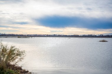 Karadağ 'da kış mevsiminde Ulcinj kenti yakınlarındaki flamingolarla Salina Doğa Parkı manzarası. Yüksek kalite fotoğraf