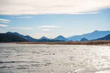 Trees and reeds on River Crnojevica, place near Lake Skadar in Montenegro surrounded by mountain peaks in winter time. High quality photo clipart