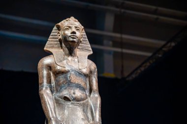Prag, Çek Cumhuriyeti - 15 Ocak 2023: Prag 'da Tutankhamun Altın Hazinesi. Orijinal Sergi Tutankamon, Mezarı ve Hazineleri yazan Howard Carter, Çek Cumhuriyeti. Yüksek kalite fotoğraf