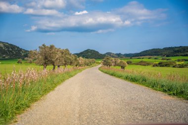 Kuzey Kıbrıs 'ın en kuzeydoğusundaki buruna giden dolambaçlı bir yol. Görüntü, keşif, macera ve dokunulmamış Akdeniz manzaraları arasındaki yolculuğu temsil ediyor. Yüksek kalite fotoğraf
