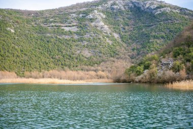Karadağ 'ın Skadar Gölü yakınlarındaki Crnojevica Nehri üzerindeki ağaç ve sazlıklar, kışın dağ zirveleriyle çevrili. Yüksek kalite fotoğraf