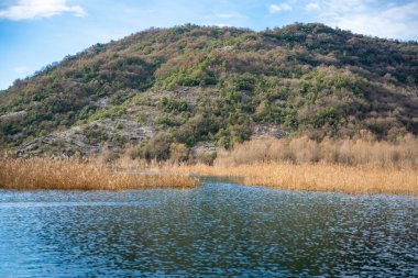 Karadağ 'ın Skadar Gölü yakınlarındaki Crnojevica Nehri üzerindeki ağaç ve sazlıklar, kışın dağ zirveleriyle çevrili. Yüksek kalite fotoğraf