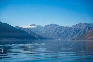 Karadağ 'ın Kotor Körfezi ve yüksek karlı dağların zirvesi, kıyılardaki küçük yerleşim yerleri ve Adriyatik Denizi' nin parlak mavi suları. Yüksek kalite fotoğraf
