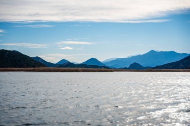 Karadağ 'ın Skadar Gölü yakınlarındaki Crnojevica Nehri üzerindeki ağaç ve sazlıklar, kışın dağ zirveleriyle çevrili. Yüksek kalite fotoğraf