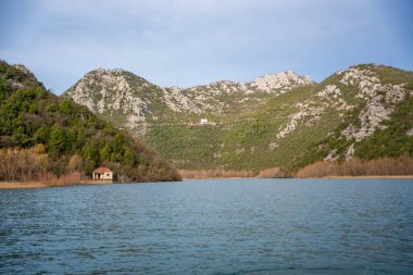 Karadağ 'ın Skadar Gölü yakınlarındaki Crnojevica Nehri üzerindeki ağaç ve sazlıklar, kışın dağ zirveleriyle çevrili. Yüksek kalite fotoğraf