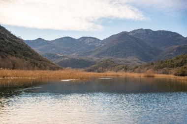 Karadağ 'ın Skadar Gölü yakınlarındaki Crnojevica Nehri üzerindeki ağaç ve sazlıklar, kışın dağ zirveleriyle çevrili. Yüksek kalite fotoğraf