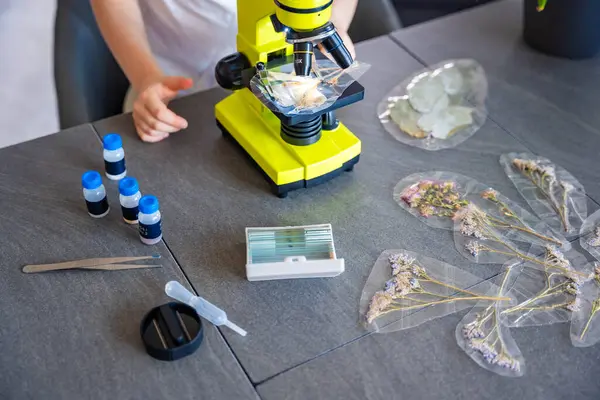 Mikroskop incelemesi için örnek hazırlayan küçük kızın ellerine yakından bakın. Bilimsel öğrenme ve merak güdümlü keşif kavramı. Yüksek kalite fotoğraf