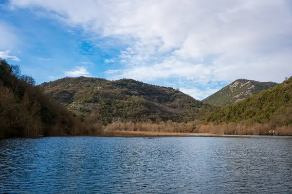 Karadağ 'ın Skadar Gölü yakınlarındaki Crnojevica Nehri üzerindeki ağaç ve sazlıklar, kışın dağ zirveleriyle çevrili. Yüksek kalite fotoğraf