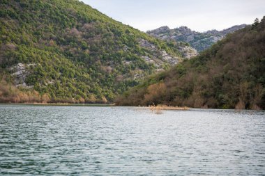 Karadağ 'ın Skadar Gölü yakınlarındaki Crnojevica Nehri üzerindeki ağaç ve sazlıklar, kışın dağ zirveleriyle çevrili. Yüksek kalite fotoğraf