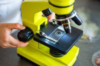 Mikroskop incelemesi için örnek hazırlayan küçük kızın ellerine yakından bakın. Bilimsel öğrenme ve merak güdümlü keşif kavramı. Yüksek kalite fotoğraf