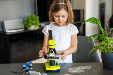 Evde mikroskop altında bitki örneklerini inceleyen küçük bir kız. Erken fen eğitimi ve botanik araştırması kavramı. Yüksek kalite fotoğraf