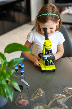 Küçük kız yeşil bir mikroskoptan bakıyor. Merakın ve erken bilimsel keşiflerin kavramı. Yüksek kalite fotoğraf