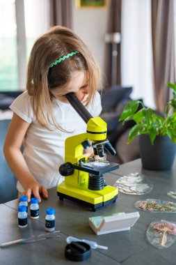 Evde mikroskop altında bitki örneklerini inceleyen küçük bir kız. Erken fen eğitimi ve botanik araştırması kavramı. Yüksek kalite fotoğraf