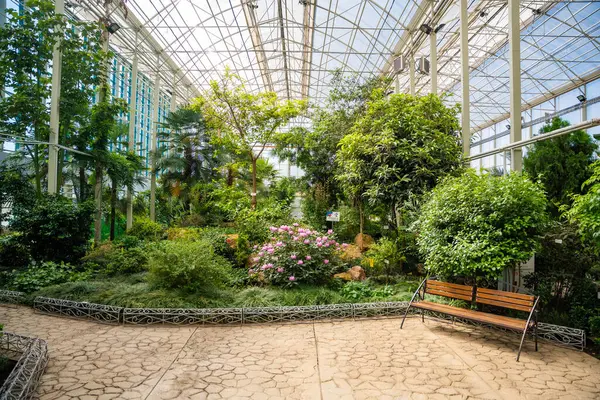 Kemerovo, Rusya - 25 Nisan 2025: Kemerovo 'daki botanik bahçesi serası, çeşitli iklim bölgelerinden nadir bitkiler. Ekoloji, sürdürülebilir keşif, küresel bitki mirası koruma. 