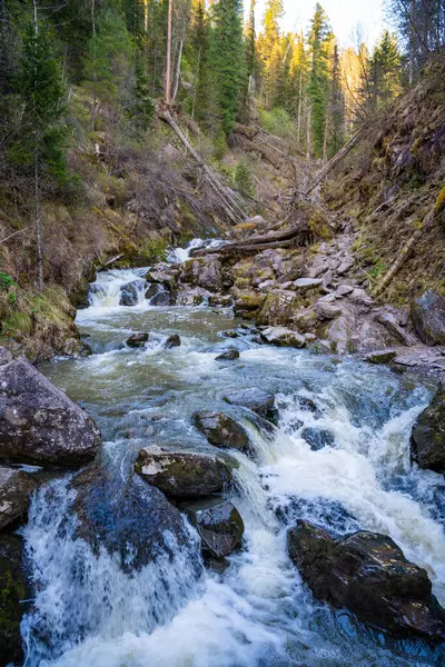 Tretya Rechka nehri ya da Artybash kasabası yakınlarında akan üçüncü nehir. Rusya 'nın Altai bölgesindeki el değmemiş tatlı su nehri manzarası. Yüksek kalite fotoğraf