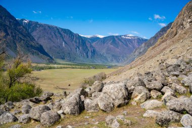 Altai Rusya 'daki Chulyshman Vadisi' nin en iyi manzarası ünlü taş mantarların yanında. Görkemli dağlar ve vahşi manzaralarla çevrili doğal bir anıt. Yüksek kalite fotoğraf