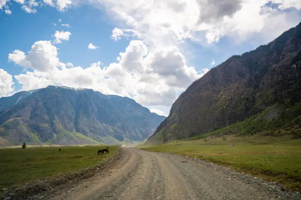 Chulyshman nehri boyunca uzanan toprak yol Altai Rusya Sahnesi 'ndeki Chulyshman Vadisi' nin girişinde vahşi dağ manzarası boyunca uzanır. Yüksek kalite fotoğraf