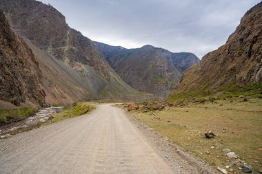 Dağ vadisi Altai Rusya 'daki Chulyshman nehri boyunca uzanan çakıl yolu manzaralı yabanda seyahat rotası. Yüksek kalite fotoğraf