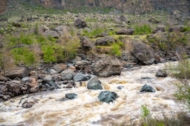 Bahar mevsiminde Altai Dağı 'nın etrafını saran hızlı akan Chulyshman nehri karları eritmek uzak doğada güçlü bir su akıntısı yaratır. Yüksek kalite fotoğraf