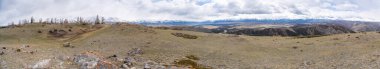 Kurai Steppe 'in Altai Rusya' da karla kaplı Kuzey Chuysky Sırtı ile panoramik görüntüsü. Geniş Sibirya dağ manzarası kış arazileri ve açık düzlükler sergiliyor. Yüksek kalite fotoğraf