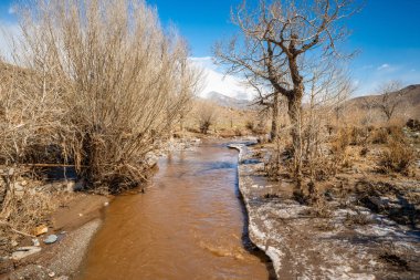 Kızıl Dağlar 'ın eteğindeki dağ deresi Mars Altai Rusya. Eşsiz renkli bir jeolojik manzaradaki doğal su yolu. Yüksek kalite fotoğraf
