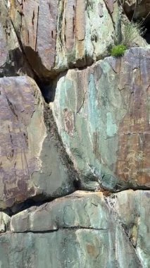 Kalbak-Tash taş sanatları kompleksi Altai Rusya 'daki petroglifler. Tarih öncesi kültür mirasını gösteren antik oymalar. Yüksek kalite 4k görüntü