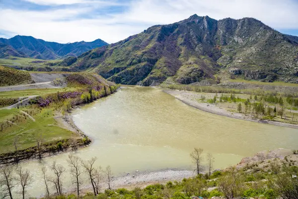 Katun ve Chuya nehirlerinin birleşimi Chuysky Trakt Altai Rusya yakınlarında. İki Sibirya dağ nehrinin görkemli buluşma noktası. Yüksek kalite fotoğraf