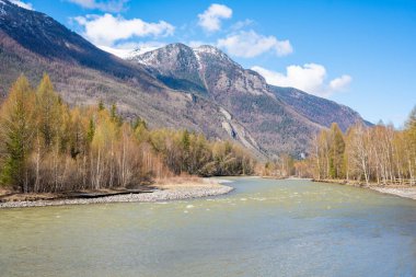 Chuya Nehri Altai Rusya 'da sık orman ve dağlardan akar. Vahşi Sibirya manzarası bozulmamış doğa ve doğal araziyi gözler önüne seriyor. Yüksek kalite fotoğraf