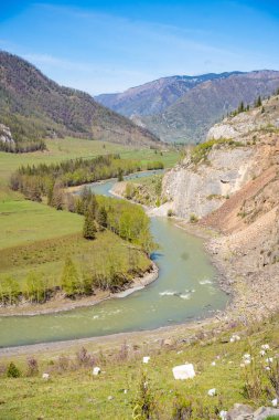 Chuya Nehri Altai Rusya 'da sık orman ve dağlardan akar. Vahşi Sibirya manzarası bozulmamış doğa ve doğal araziyi gözler önüne seriyor. Yüksek kalite fotoğraf