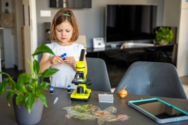 Küçük kız mikroskop altında soğan derisini inceliyor. Erken dönem bilim eğitimi ve hücre yapısı keşfi kavramı. Yüksek kalite fotoğraf