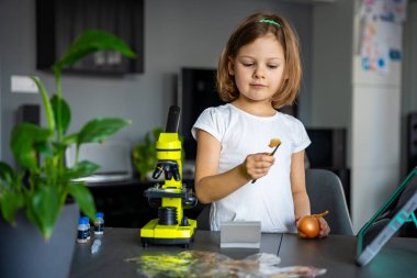 Küçük kız mikroskop altında soğan derisini inceliyor. Erken dönem bilim eğitimi ve hücre yapısı keşfi kavramı. Yüksek kalite fotoğraf