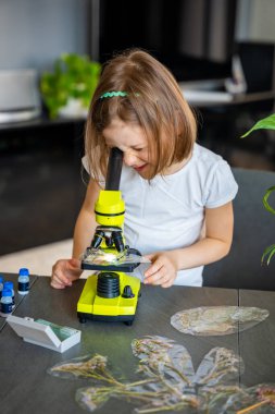 Evde mikroskop altında bitki örneklerini inceleyen küçük bir kız. Erken fen eğitimi ve botanik araştırması kavramı. Yüksek kalite fotoğraf