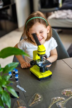 Küçük kız yeşil bir mikroskoptan bakıyor. Merakın ve erken bilimsel keşiflerin kavramı. Yüksek kalite fotoğraf