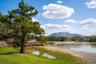 Aşk Taşı 'nın Biya Nehri üzerindeki görüntüsü ve karşı kıyıdaki Turochak kasabası. Huzur, bağlantı ve vahşi Rus doğasındaki kutsal yerler kavramı. Yüksek kalite fotoğraf