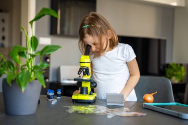 Küçük kız mikroskop altında soğan derisini inceliyor. Erken dönem bilim eğitimi ve hücre yapısı keşfi kavramı. Yüksek kalite fotoğraf