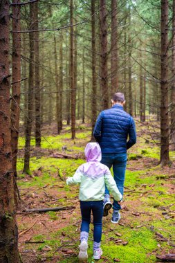 Baba ve kızı Çek Cumhuriyeti 'nde kozalaklı bir ormanda yürüyüş yapıyor. Aile bağları, açık hava keşifleri ve doğayla erken çocukluk bağı. Yüksek kalite fotoğraf