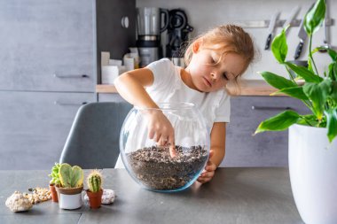 Toprak düzenleyen, kaktüs eken ve teraryumu taş ve kabukla süsleyen küçük bir kız. Yaratıcılık kavramı, eko-bilinçli öğrenme ve çocuklukta doğaya dayalı etkinlik. 