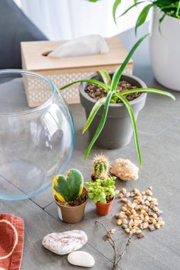 Kapalı bir teraryum ya da cam ekosistem oluşturmak için hazırlanmış doğal malzemeler ve dekoratif elementler. DIY bitki tasarımı, ekolojik bilinçli yaşam ve yaratıcı ev projeleri kavramı. Yüksek kalite fotoğraf