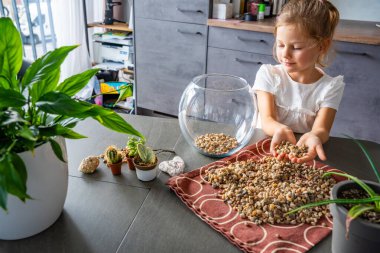 Küçük bir kız gelecekteki bitki örtüsü ya da kapalı ekosistem için cam kaplara taş döküyor. Elle öğrenme, çevre dostu yaratıcılık ve doğaya dayalı projelere erken katılım. 