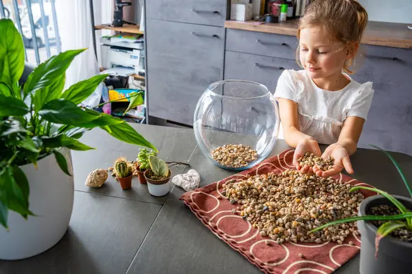 Küçük bir kız gelecekteki bitki örtüsü ya da kapalı ekosistem için cam kaplara taş döküyor. Elle öğrenme, çevre dostu yaratıcılık ve doğaya dayalı projelere erken katılım. 