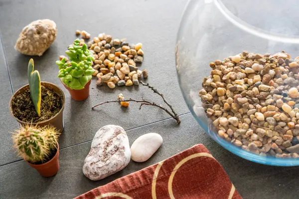 Kapalı bir floraryum ya da cam ekosistem oluşturmak için hazırlanmış doğal malzemelere ve dekoratif elementlere yakından bakın. DIY bitki tasarımı, ekolojik bilinçli yaşam ve yaratıcı ev projeleri kavramı. 