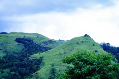 Meppadi yakınlarındaki Thollayiram kandi ormanından Kerala 'nın Wayanad semtindeki Batı Ghat' lerindeki güzel tepeler. Thollayiram, 900 ve kandi, Malayalam 'da alan demek.
