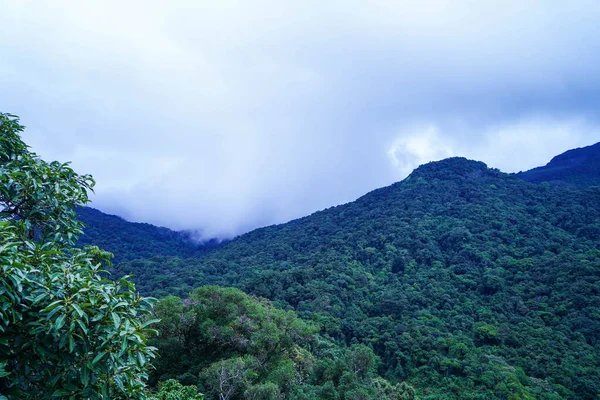 Прекрасні Пагорби Західній Гаті Окрузі Ваянад Керала Вид Лісу Толлаірам Стокове Фото