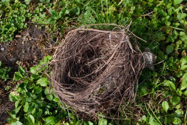 İnsandan çok mühendis var.