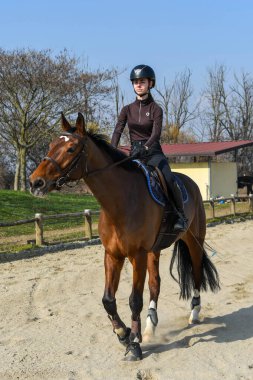 Atlama dersleri dizisi, sürücünün pozisyonu ve omuz-leğen-diz-topuklarının mükemmel denge anlamına gelen tek bir çizgi halinde dizilişine dikkat edin, sürücünün at figürünün eşzamanlılığına dikkat edin.