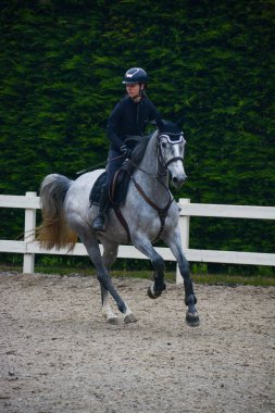 İtalyan atlı kadın at biniciliğinde denge ve denge gösterisi yapıyor.