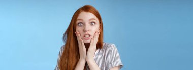 Shit bummer. Shocked worried young intense serious-looking confused young redhead girl look stressed nervously touching face wide eyes staring camera anxiously, standing blue background.