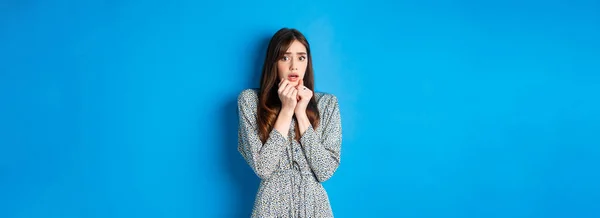 Scared and timid woman in dress, shaking from fear, gasping with hands pressed to chest, looking at scary horror movie, standing against blue background.